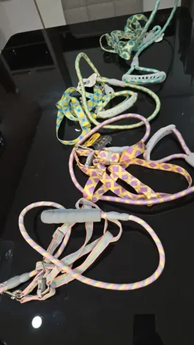 Kit com 4 guias e peitorais para cães