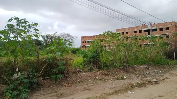 Área para construção de apartamentos minha casa minha vida