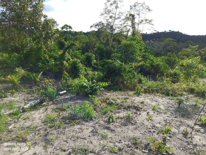 Terreno Lote