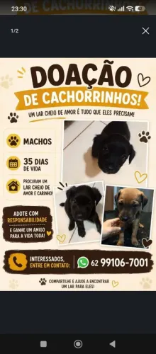 Doação