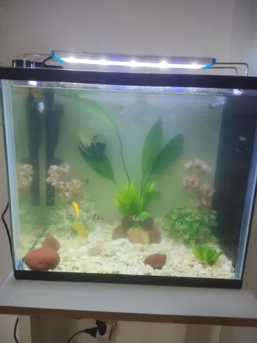 Aquário 40 litros