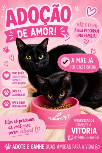 Doa-se gatas!