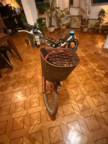 Bicicleta blitz