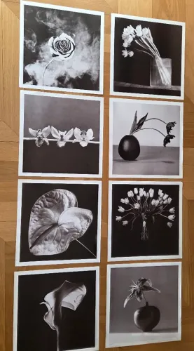 8 gravuras de papel preto e branco 44x44cm
