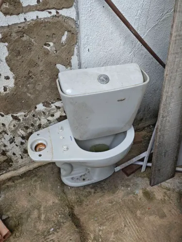 Vaso sanitário Elisabete 