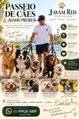 Adestramento/banho/passeio