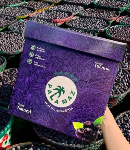  Caixa de açaí Palamaz 