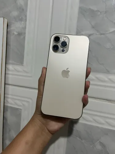 iPhone 12 Pro Max - 256gb - Envio Olx Pay