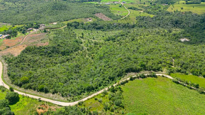 170 TAREFAS ( Suja ) OPORTUNIDADE