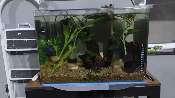 Aquário oceantec 54 litros