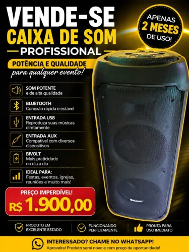 Som profissional