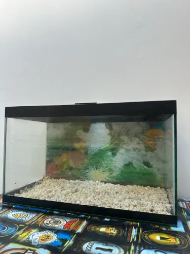 Aquário para peixes de Vidro