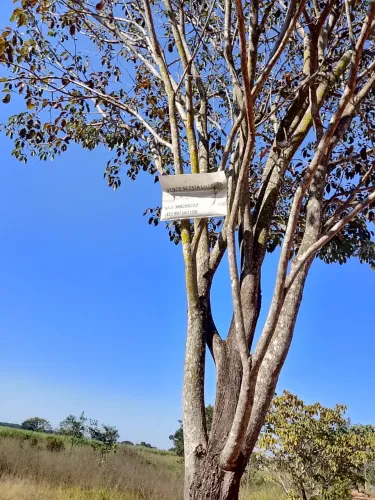 Chácara à venda