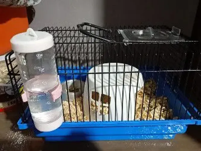 Gaiola de hamister com tudo.