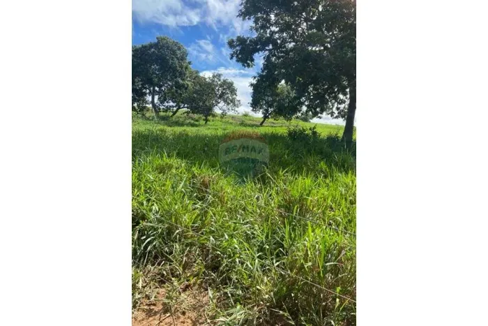 ¨Sitio Marajó á Venda - Ideal para Pecuária ,Com Potencial de Produção!¨