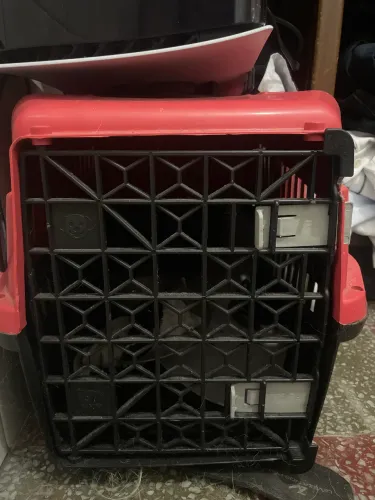 Caixa para cães e gatos