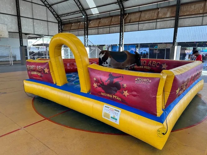 Futebol de sabão/Touro Mecânico /Algodão doce,tobogã, cama elástica, mesas, toalhas