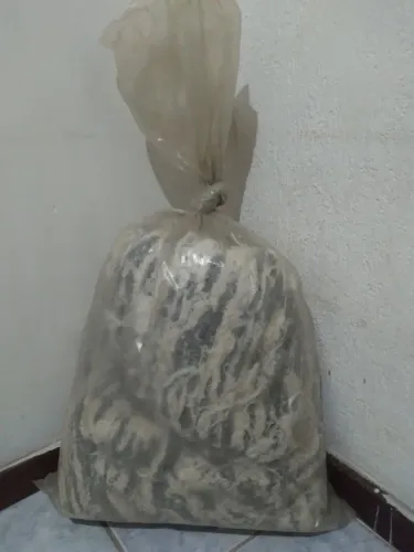 Tapete Branco 