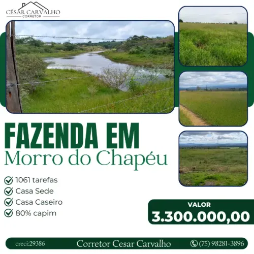 FAZAENDA EM MORRO DO CHAPÉU - 1061 TAREFAS
