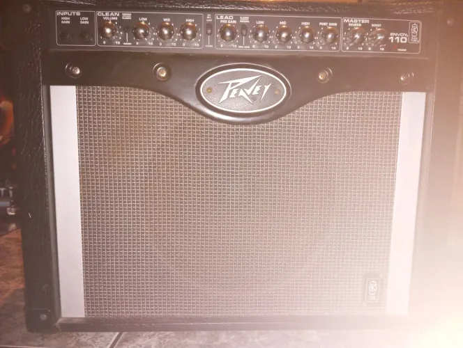 Peavey Envoy 110 