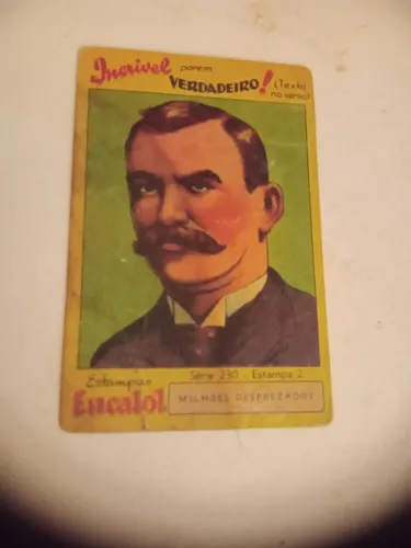 Estampa Encalol Incrivel - Série 230 - Estampa 2