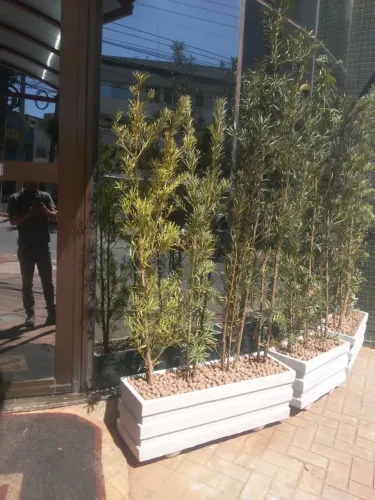 Jardineiras, vasos e plantas