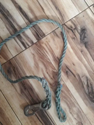 Correia para cachorro