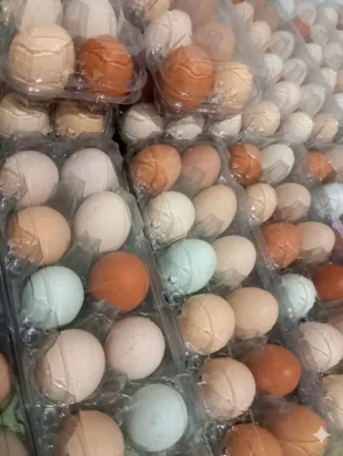 Ovos Caipira