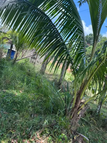 Vendo terreno.