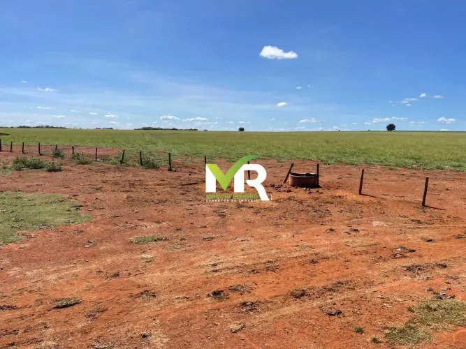 Fazenda de 150 Alqueires em Vicentinópolis, Goiás