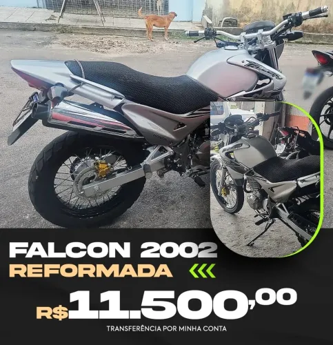 FALCON 2002
