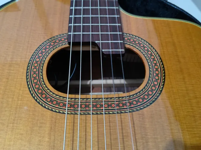 Takamine E50