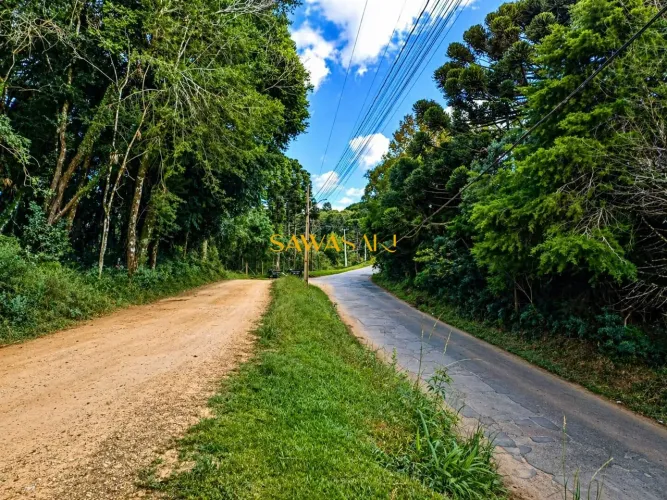 Terreno Lote para Venda em Rio de Una São José dos Pinhais-PR