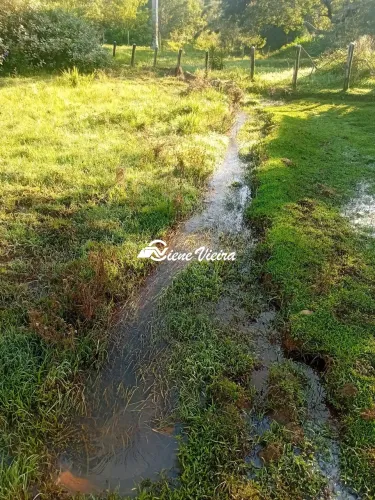 SITIO RESIDENCIAL em LAGOINHA - SP, SERRA NEGRA