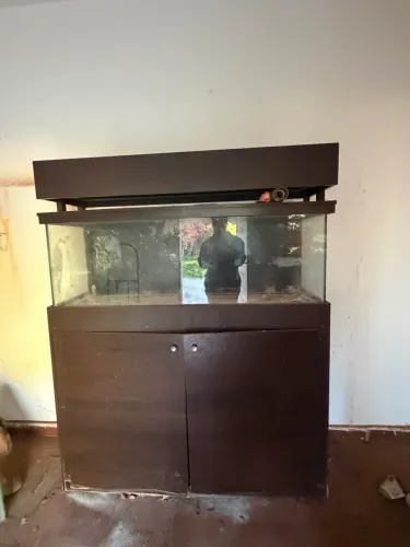 Aquário + sump + móvel 