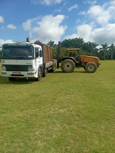 Gramas sempre frescas, direto do produtor!