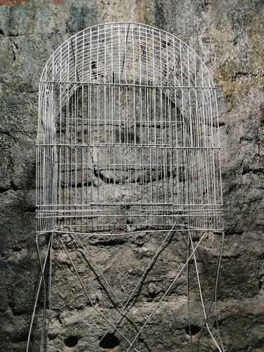 Gaiola
