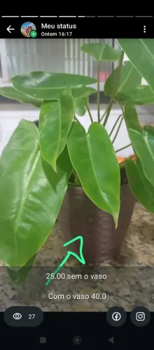 Plantas
