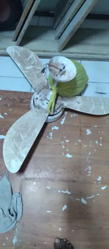 Ventilador de teto
