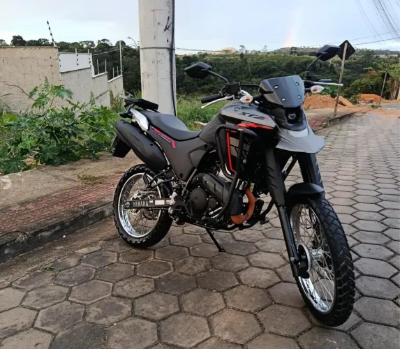 Vendo Lander 2025