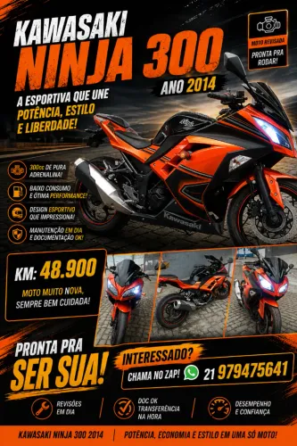 Kawasaki ninja 300 ano 2014