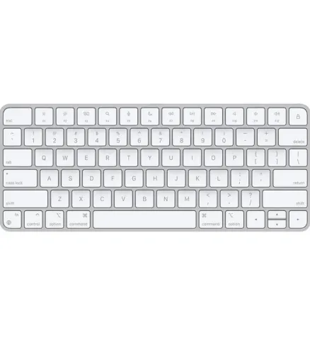 Teclado Apple Magic Keyboard MXCL3LL/A 1 ano de garantia Apple