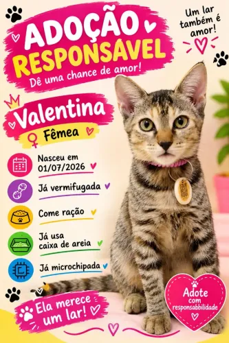 Doação Responsável! (O dono um senhor idoso morreu. E nós vizinhos estamos tentando doar)