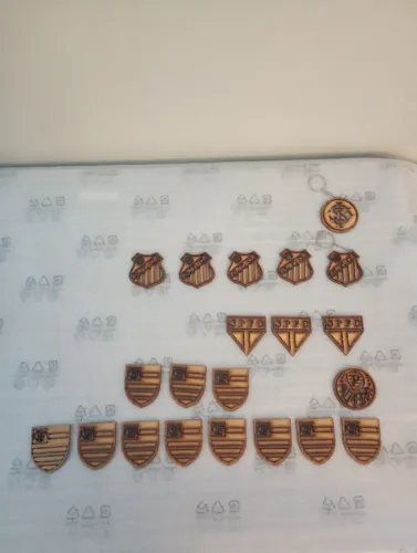Escudo Time