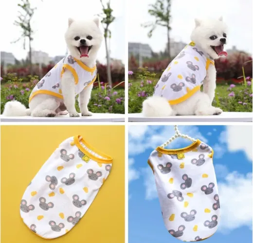 Roupa pet ratinho