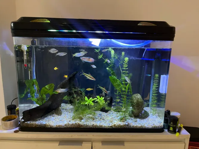 Aquário 128 Litros