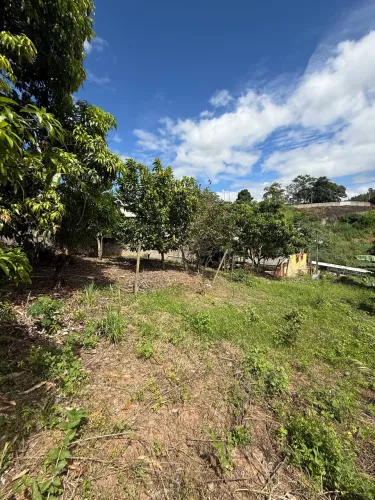 Lote vazio bairro Grama - Afonso Cláudio