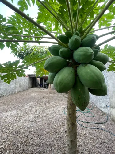 Casa em Itaitinga com terreno 8x30 pronta para segundo pavimento