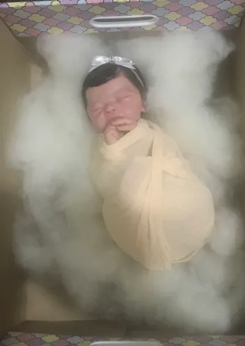  Bebês reborn 