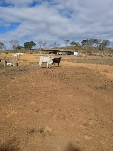 Venda de Fazenda 408ha, Próximo a Belo Horizonte - MG
